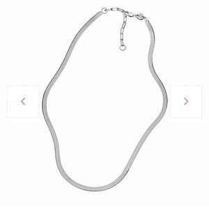 Jennifer Zeuner Silver Necklace